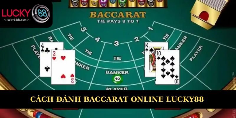 Cách đánh Baccarat Lucky88 cơ bản 