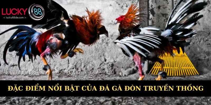 Đặc điểm nổi bật của đá gà đòn truyền thống 