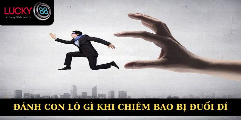 Đánh con lô gì khi chiêm bao bị đuổi dí